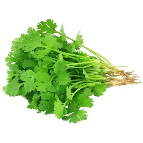 Fresh Coriander (धनिया) Online in Jaipur Free Home delivery